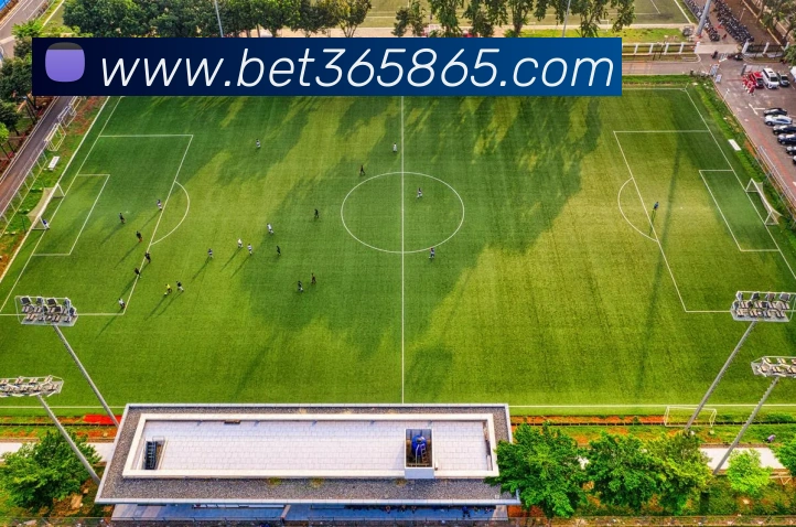 bet365中国官网APP 封面图